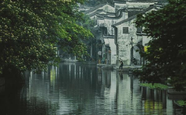 糯高梁育苗移栽标准宣贯会在神农架召开