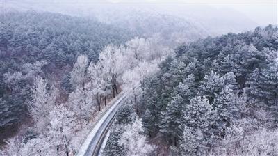 程昱疑为程咬金的祖先,出土文物你觉得可信吗?